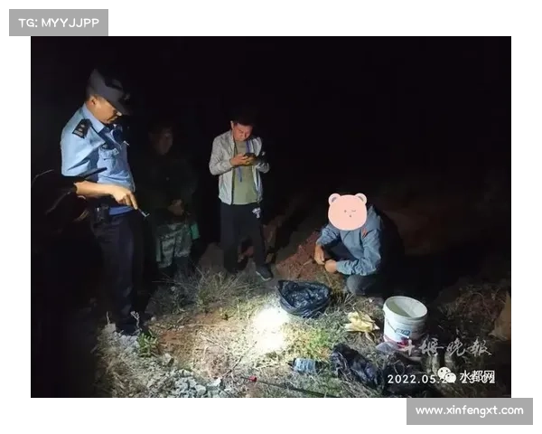钓鱼者在被捕获的网站上放置恶意内容 钓鱼者在被捕获的网站上放置恶意内容